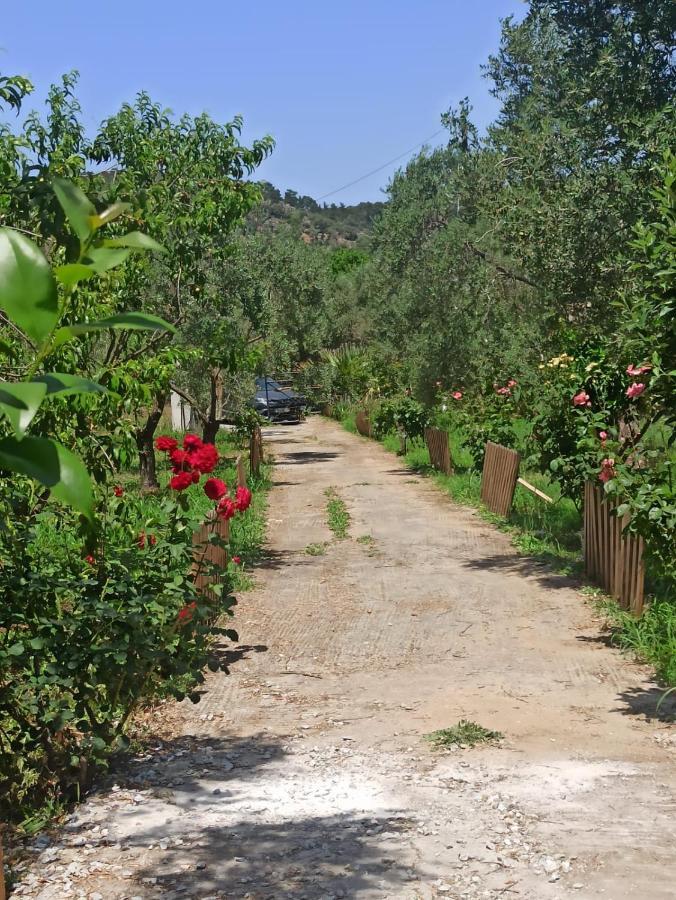 Mytilíni Sol'S Place מראה חיצוני תמונה